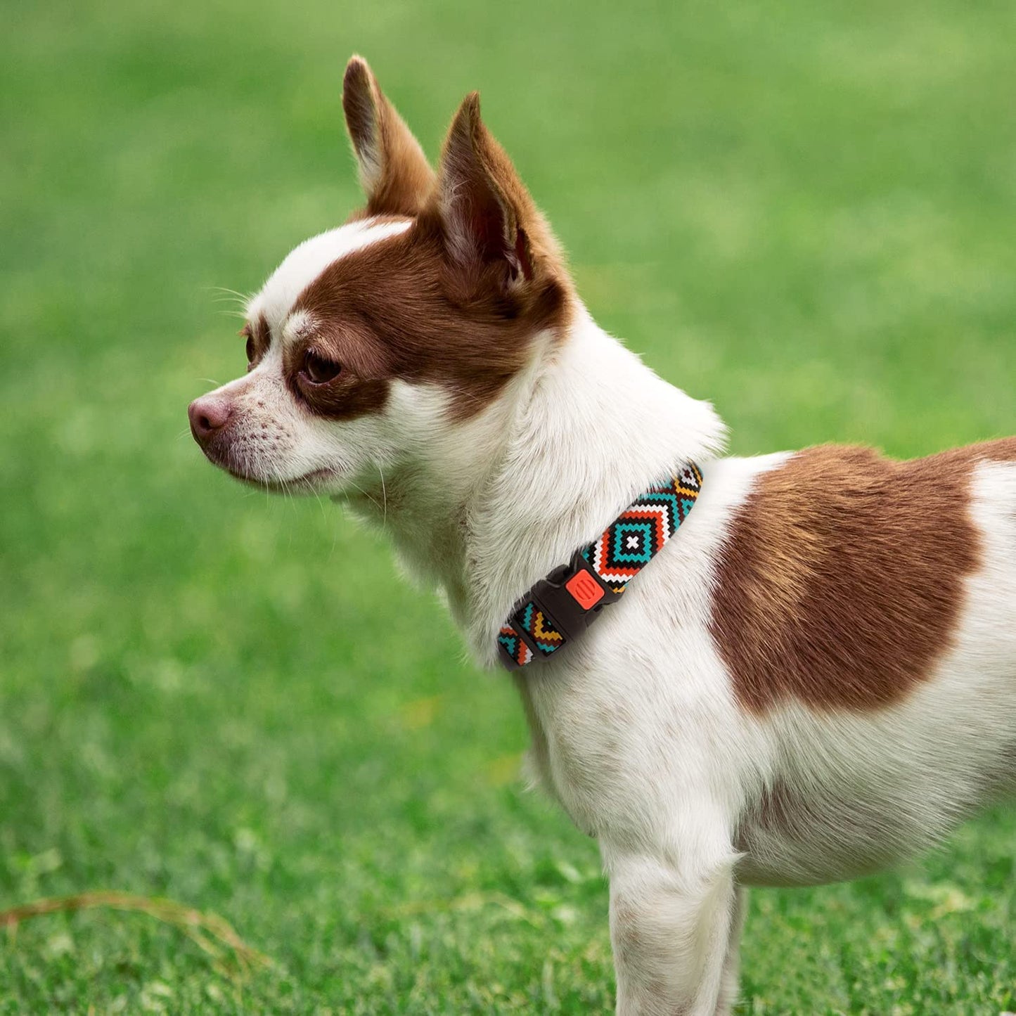 Geometric Dog Collar with Quick Release Buckle, Adjustable Nylon - Purple/Yellow/Orange Pattern, Small/Medium/Large Dogs - Teal, Neck Fit 10"-13"